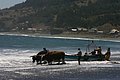 IMG_2588.JPG