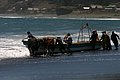 IMG_2591.JPG