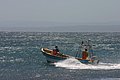 IMG_2596.JPG
