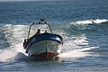 IMG_3108.JPG