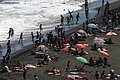 IMG_3134.JPG