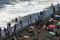 IMG_3135.JPG