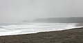 IMG_3161-2.jpg
