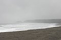 IMG_3161.JPG