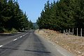 IMG_3265.JPG
