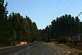 IMG_3333.jpg