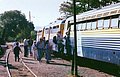 33a.jpg