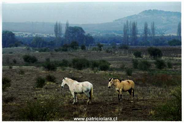 4587-09a.jpg