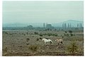 4587-08a.jpg