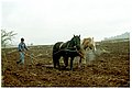 4587-10a.jpg