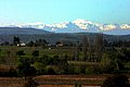 IMG_6514.JPG