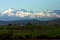 IMG_6515.JPG