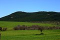 IMG_6516.JPG