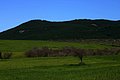 IMG_6517.JPG