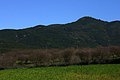 IMG_6518.JPG