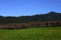IMG_6524.JPG