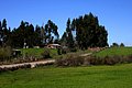 IMG_6525.JPG