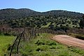 IMG_6526.JPG