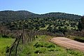 IMG_6527.JPG
