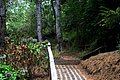 IMG_0615.jpg