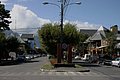 IMG_0698.jpg