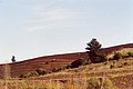 4474-03a04.JPG
