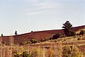 4474-03a05.JPG